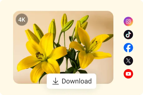 Descargar tus imágenes HD mejoradas y compartirlas en redes sociales populares