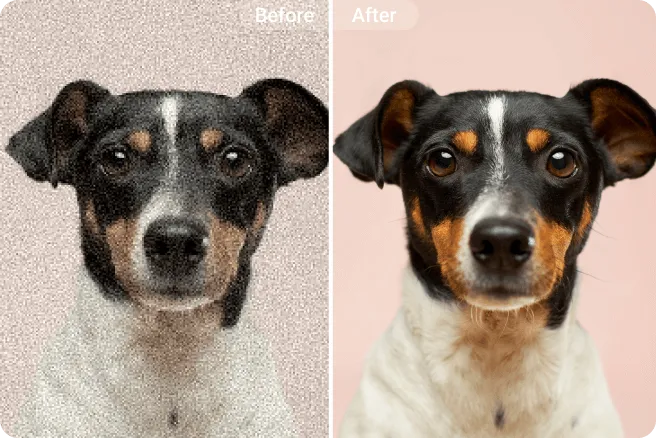 Eliminar el ruido de una foto de perro
