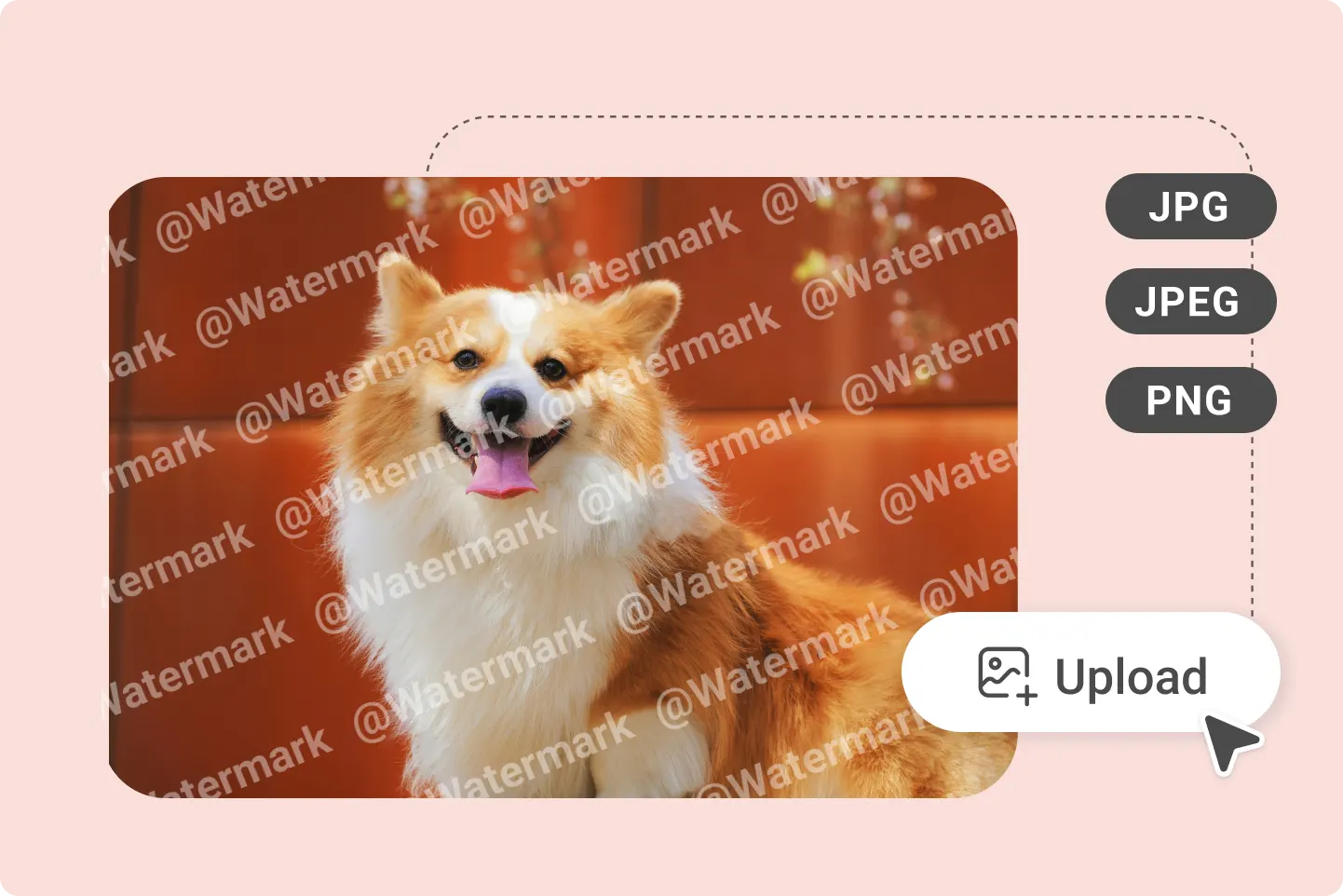 Paso 1: sube foto de perro en JPG, JPEG o PNG para quitar marca de agua