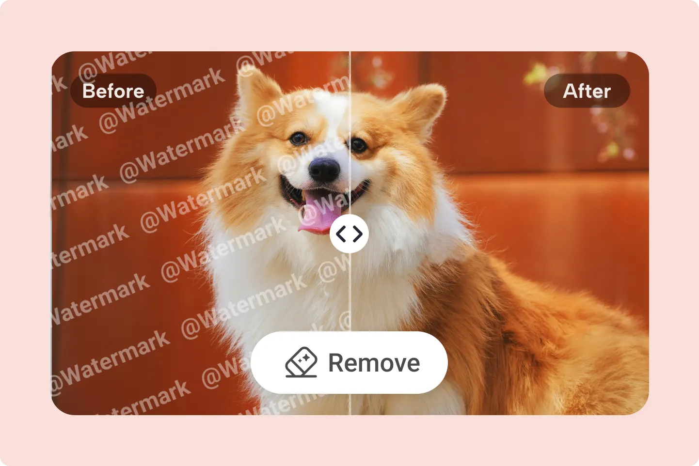 Paso 2: comparación lado a lado de la foto del perro antes y después de quitar marca de agua con IA